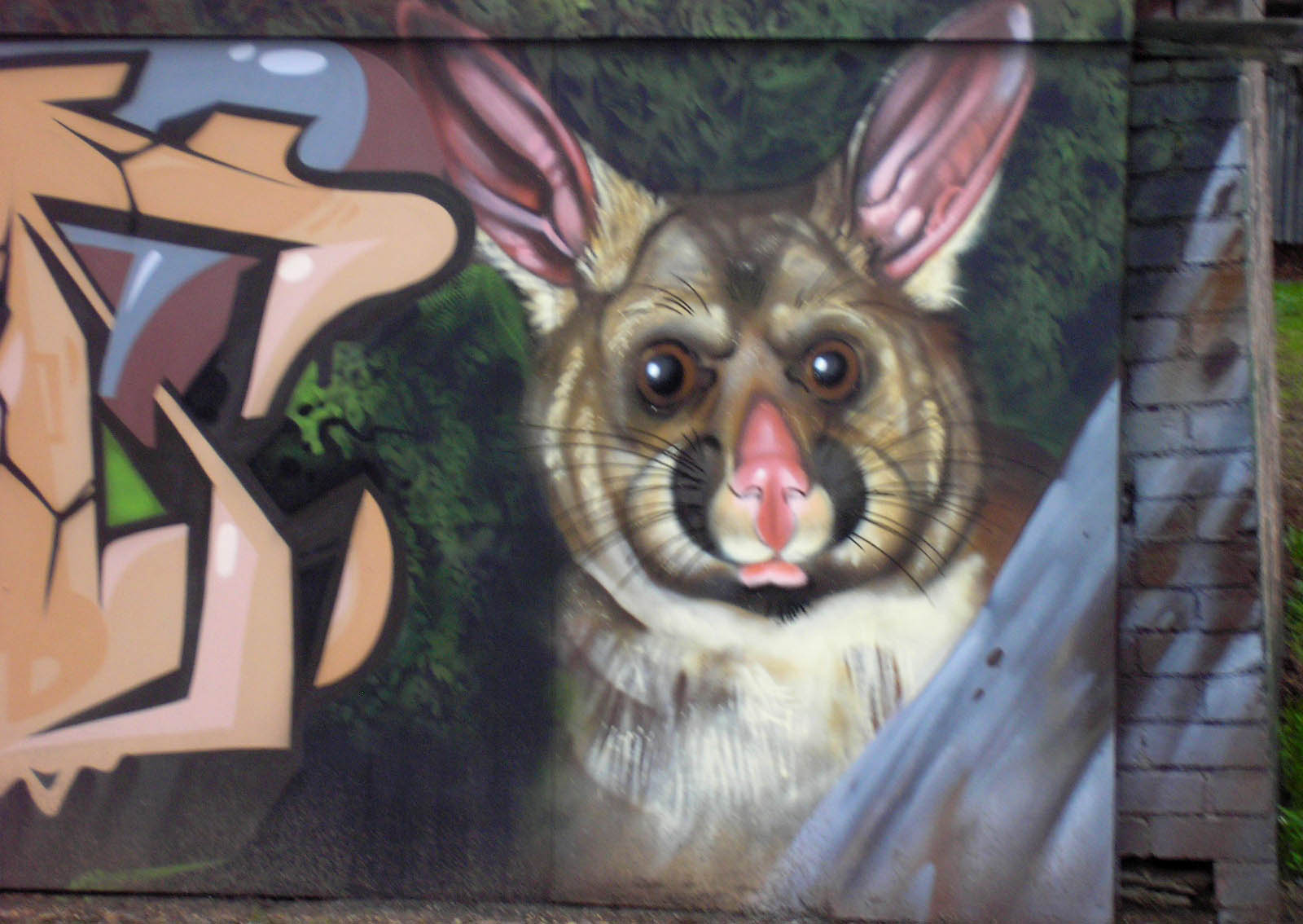 Northcote Rifle Club Slide 5